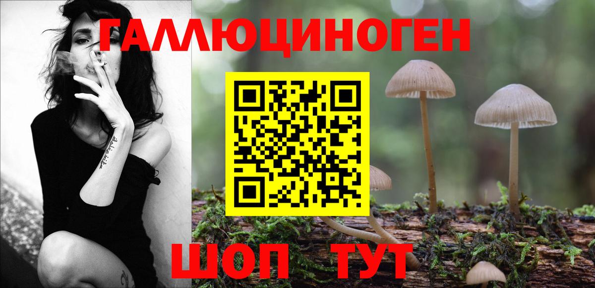 Галлюциногенные грибы GOLDEN TEACHER  Вход с VPN  Галлюциногенные грибы Cubensis  Сочи 