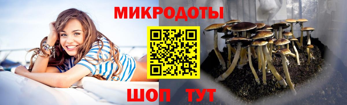 Галлюциногенные грибы мицелий Сочи